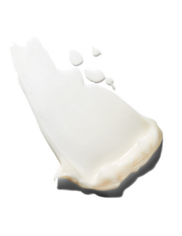 https://cdn.shopify.com/s/files/1/1857/6931/files/TSbaQpHvgq.png?v=1720602688